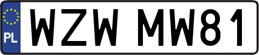 WZWMW81