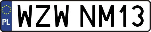 WZWNM13