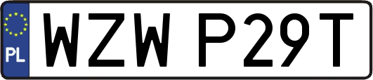 WZWP29T