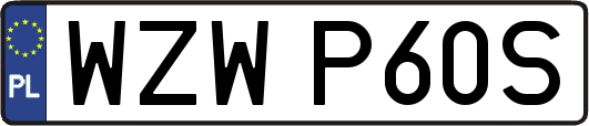 WZWP60S
