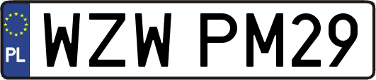WZWPM29