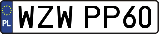 WZWPP60