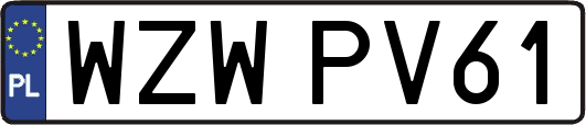 WZWPV61
