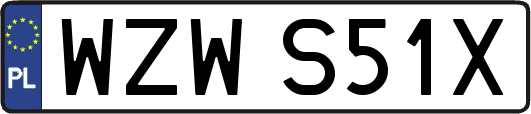 WZWS51X