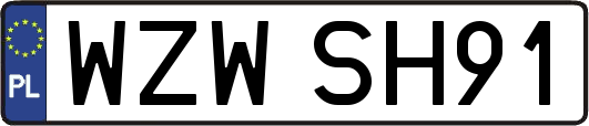 WZWSH91