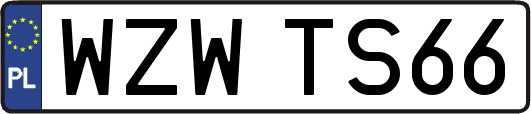 WZWTS66