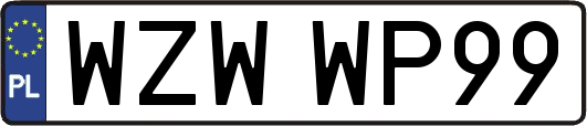 WZWWP99