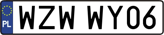 WZWWY06