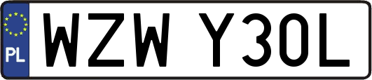WZWY30L
