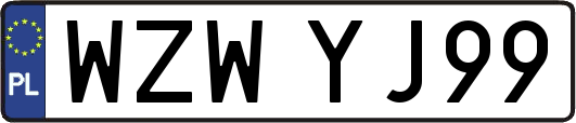 WZWYJ99