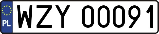 WZY00091
