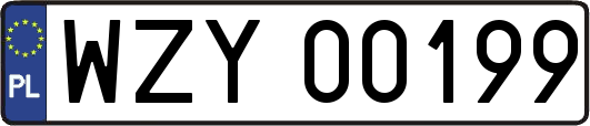 WZY00199