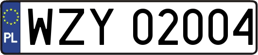 WZY02004