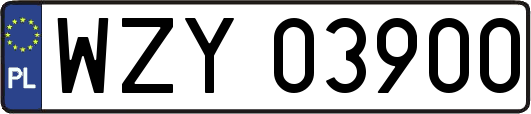 WZY03900