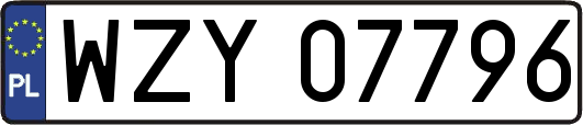 WZY07796