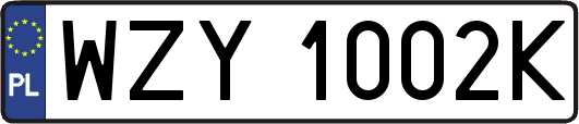 WZY1002K
