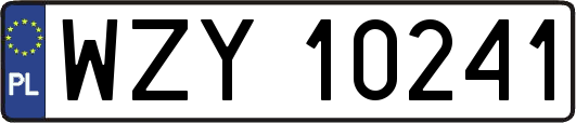 WZY10241