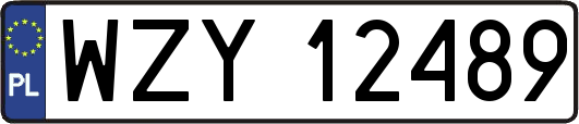 WZY12489