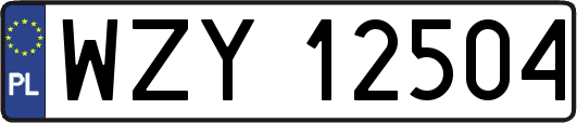 WZY12504