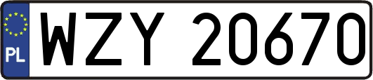 WZY20670
