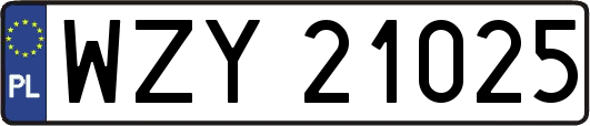 WZY21025