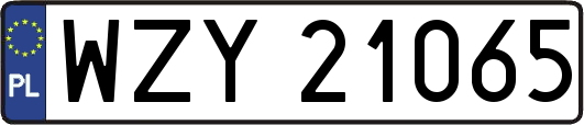 WZY21065