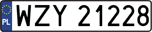 WZY21228