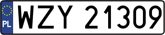 WZY21309