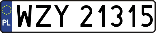 WZY21315