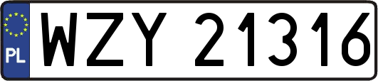 WZY21316