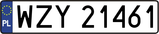 WZY21461