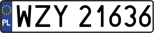 WZY21636