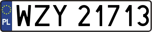 WZY21713