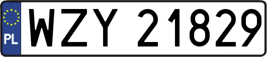 WZY21829