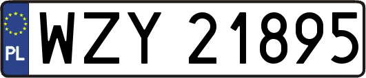 WZY21895