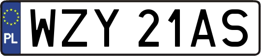 WZY21AS