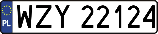 WZY22124