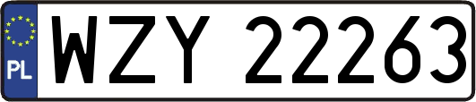 WZY22263