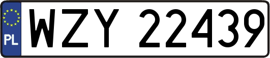 WZY22439