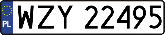 WZY22495
