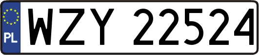 WZY22524