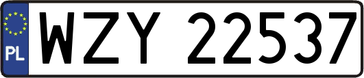 WZY22537