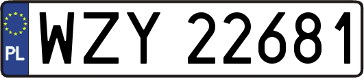 WZY22681