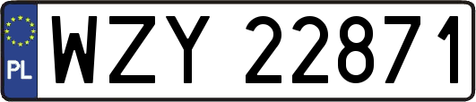 WZY22871
