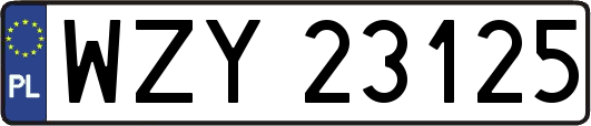 WZY23125