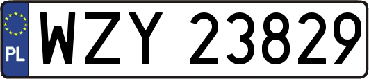 WZY23829