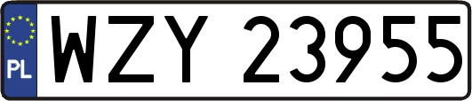 WZY23955