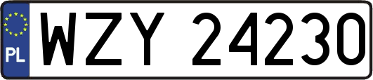WZY24230