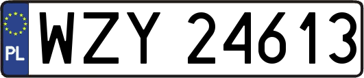 WZY24613
