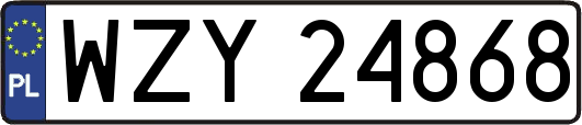 WZY24868